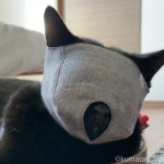 nekozukiの「もふもふマスク」を初めてつけた猫