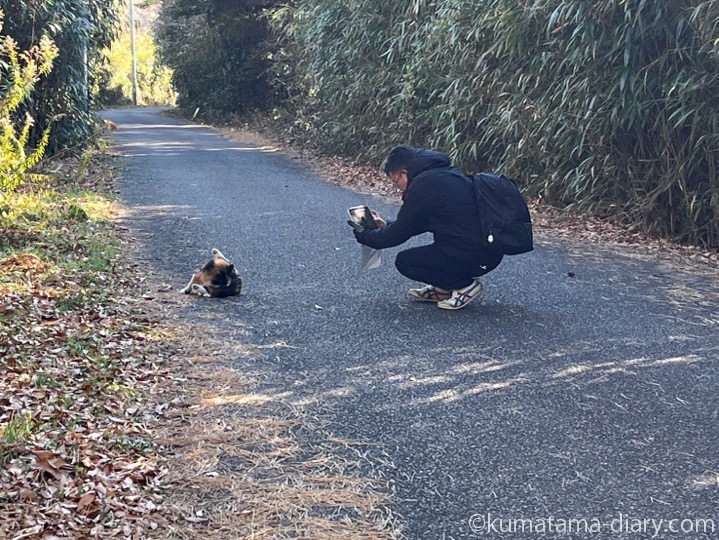 長毛猫さんと彼