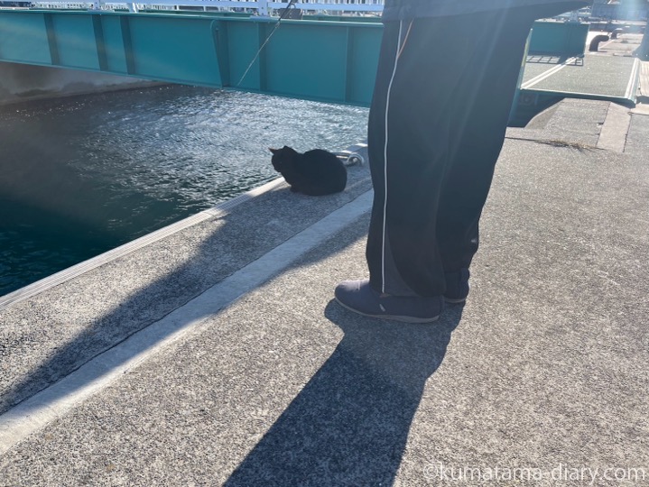 釣りをする人と黒猫さん