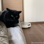 「ECOVACS DEEBOT X5 PRO OMNI」と猫