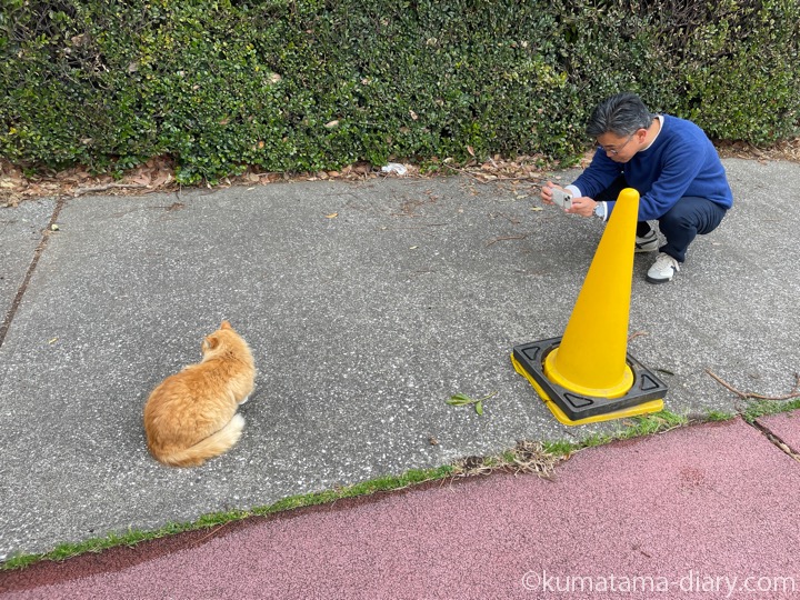 長毛猫さん