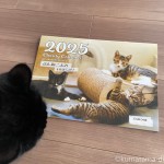 【猫の日】ぶんねこの会のカレンダー「ぶんねこよみ2025」