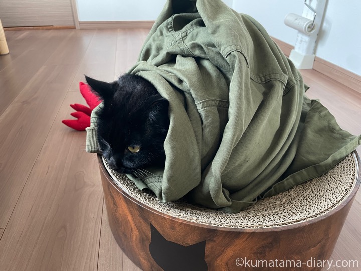 巻かれるふみお