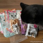 プレミアムキャットフード専門店「tama」のフードをチェックする猫