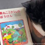 「黒ねこミケシュのぼうけん」と黒猫さんたち