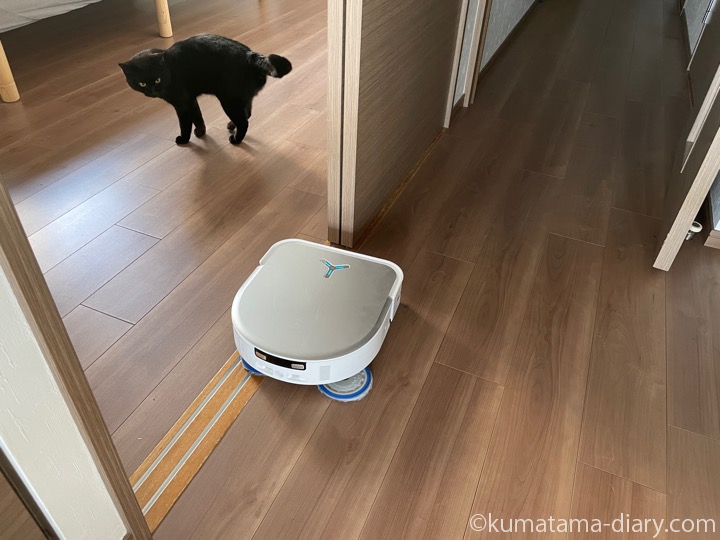 エコバックスとふみお