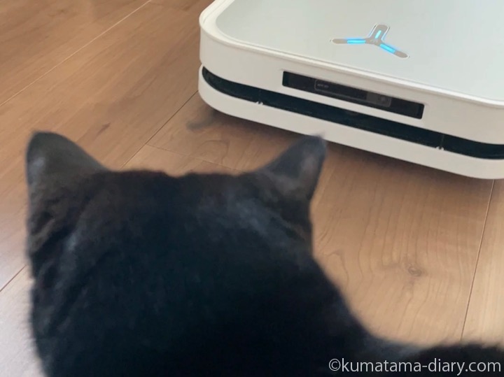 エコバックスとふみお