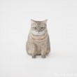ブリティッシュショートヘア木彫り猫