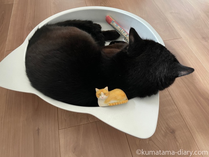 猫鍋ふみお