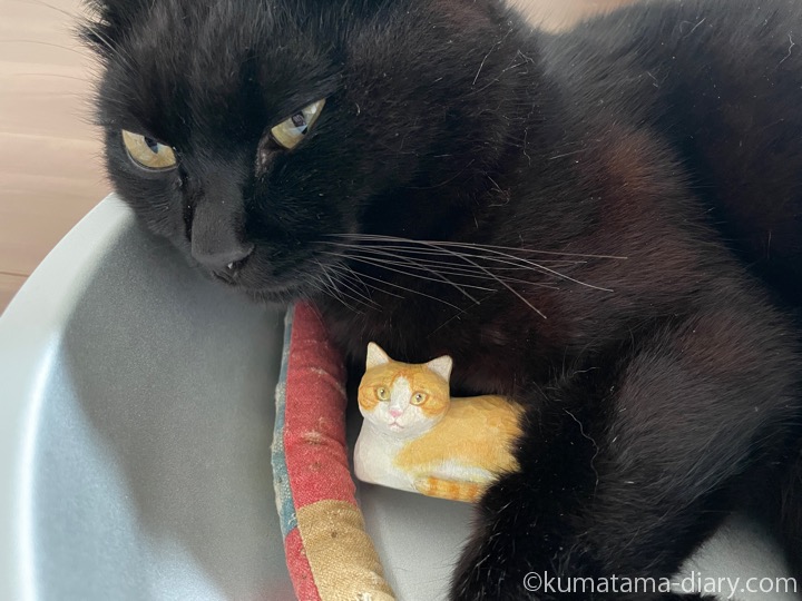 猫鍋ふみお
