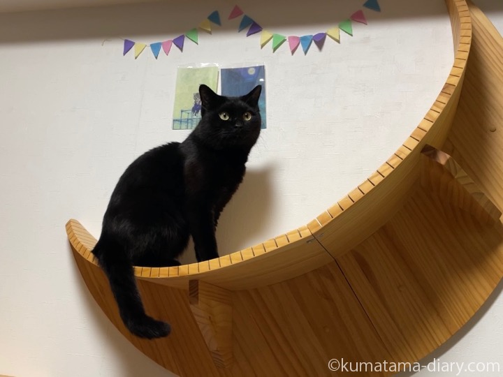 LUNAふみお