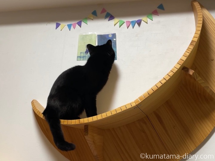 LUNAふみお