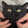 ふみお