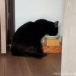 食事ふみお