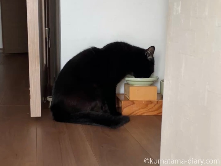 食事ふみお