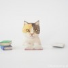 木彫り猫と本