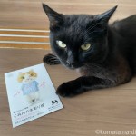 【谷中】展示室gururiでの個展のお知らせ