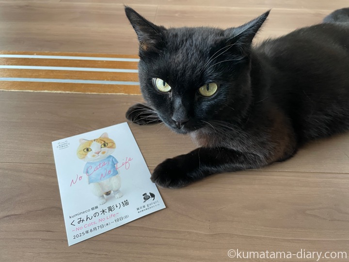 ふみおとDM