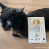 ふみおとDM