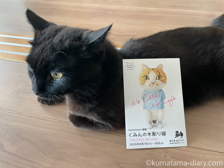 ふみおとDM