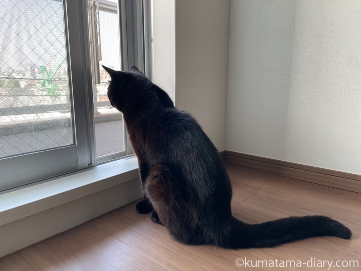 ふみおニャルソック