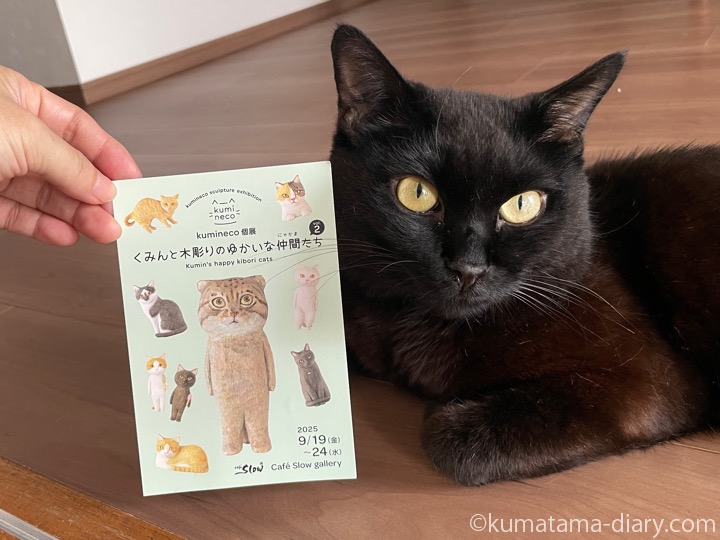 DMとふみお