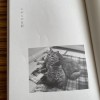 にがにが日記