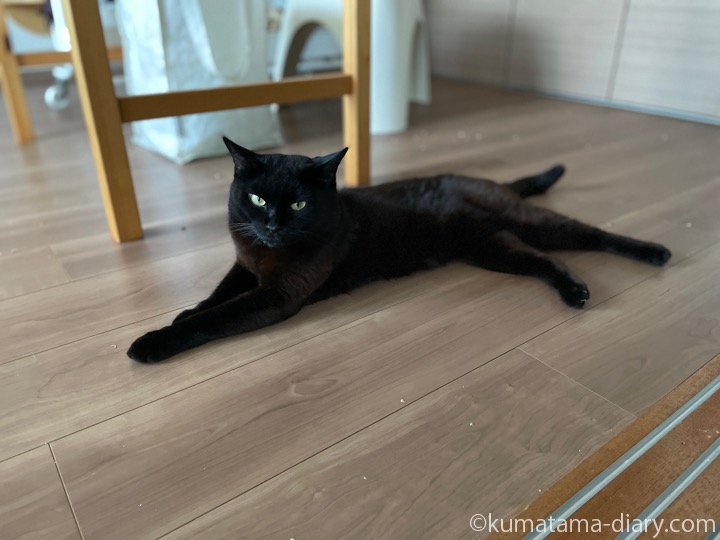 ふみお