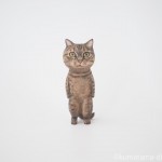 足長マンチカンの猫さんを木彫りで作りました