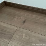 タンブルウィードみたいな毛玉