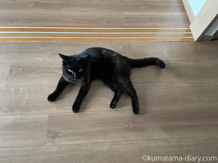 ふみお