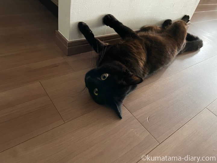 ふみお