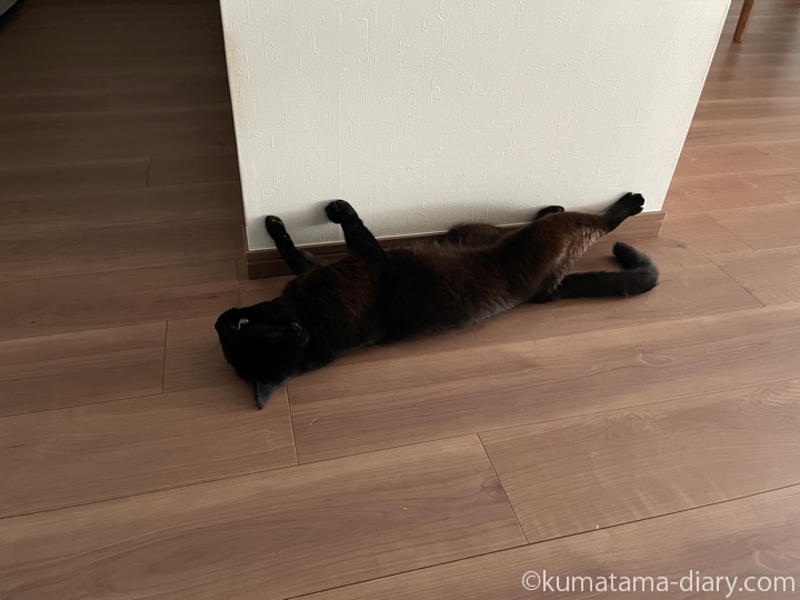 ふみお