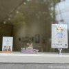 kumineco個展gururi