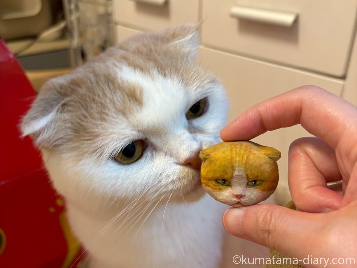 ブローチと猫さん