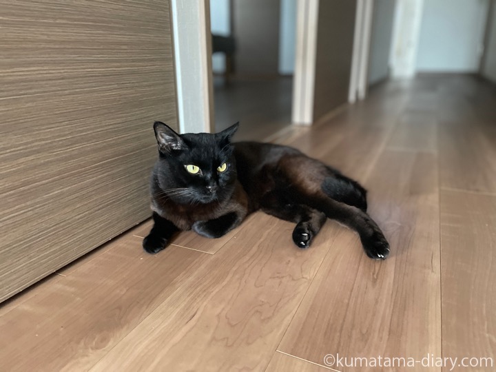 ふみお