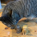 警戒しつつ木彫り猫をチェックする猫さんたち