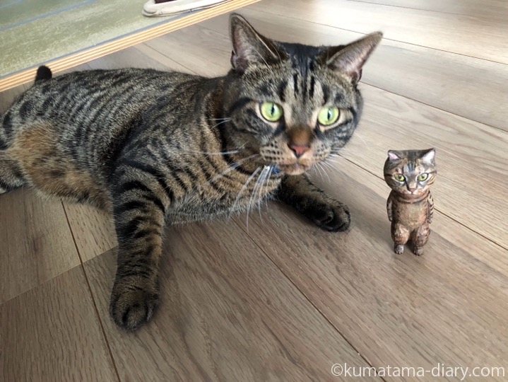 マンチカンさんと木彫り