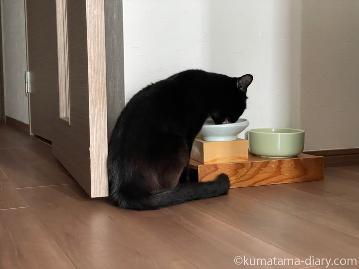 食事するふみお