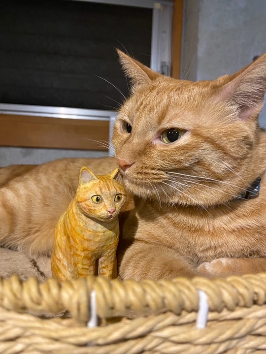 茶トラ猫さんと木彫り