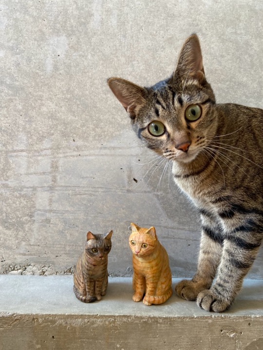 キジトラ猫さんと木彫り