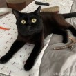 またたびとふみお