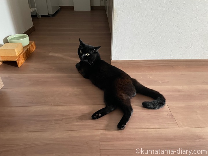 ふみお