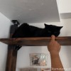 ふみおと彼の指