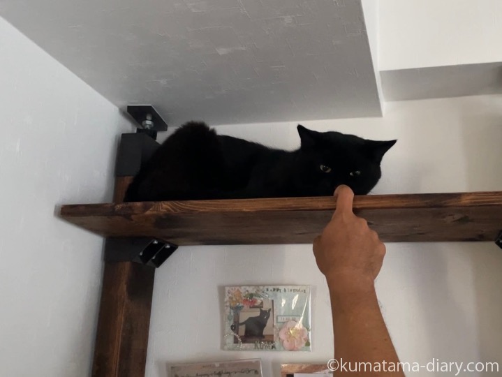 ふみおと彼の指