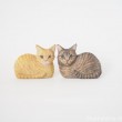 キジトラ猫さんと茶トラ猫さん