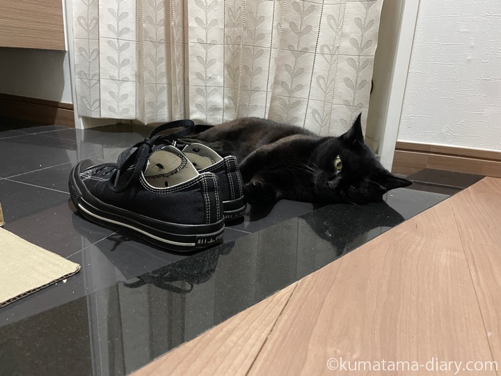 玄関ふみお