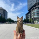 東京駅と木彫り猫