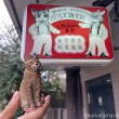 ボリス雑貨店と木彫り猫
