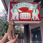 ボリス雑貨店と木彫り猫
